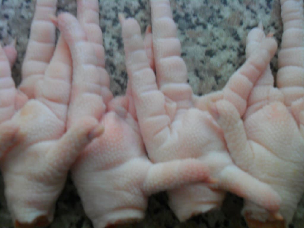 Frozen Chicken Feet _ frozen chicken Paws for sale